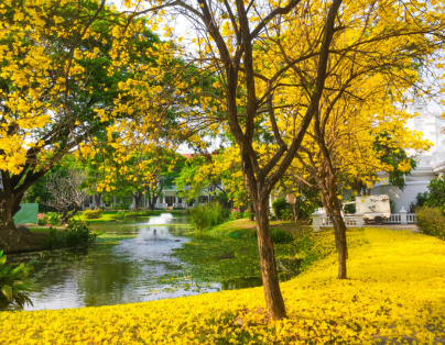 
雙五星饗宴 台南晶英、林酒店二泊四食 3日